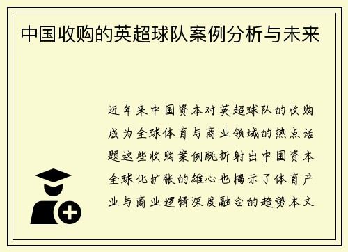中国收购的英超球队案例分析与未来